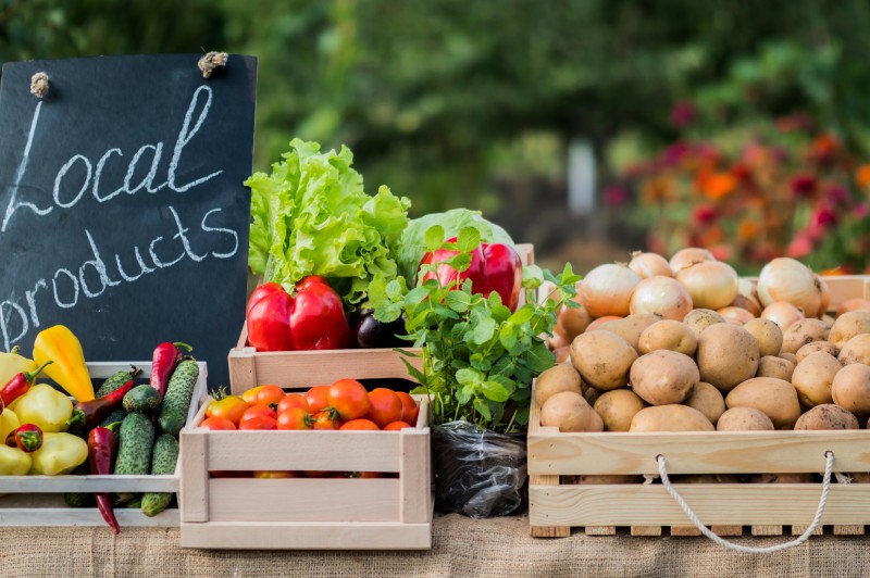 AdobeStock_244717523 (2)